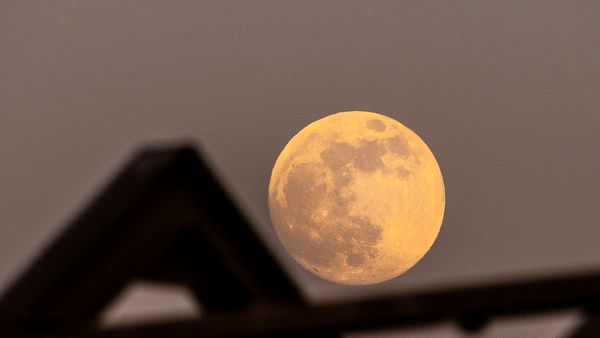 Get ready to witness the Full Flower Moon in all its glory