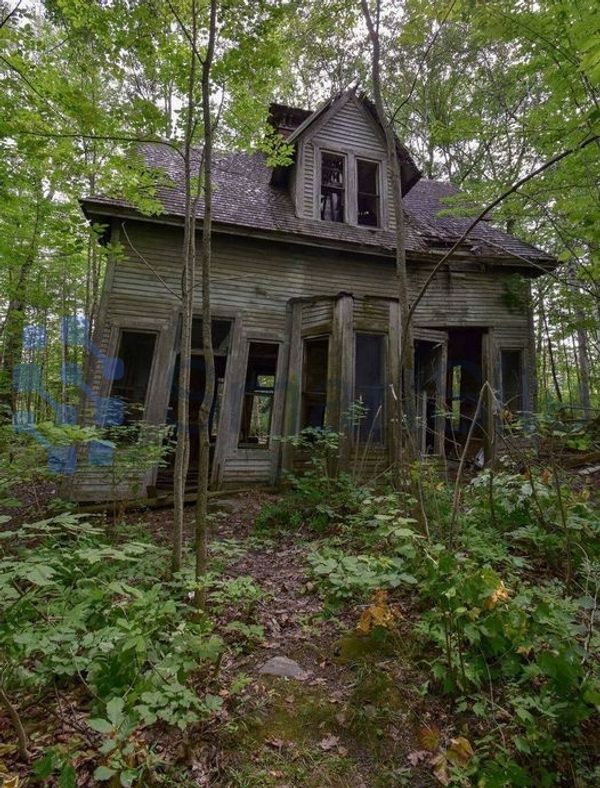 The Amazing Transformation of an Abandoned House