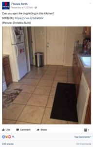 Can you find the hidden dog in this kitchen?