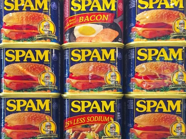 SPAM Can