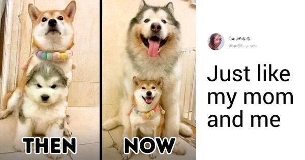 20 Pics That Show Us How Time Can Change Anything but True Love