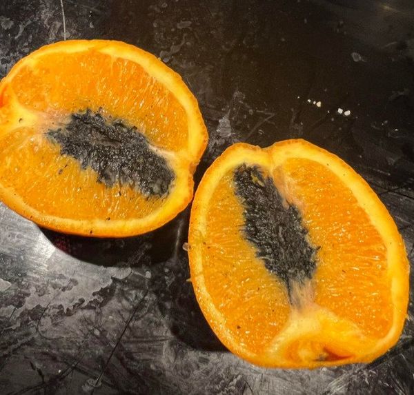 Can I Eat Oranges That Have Black Stuff Inside?