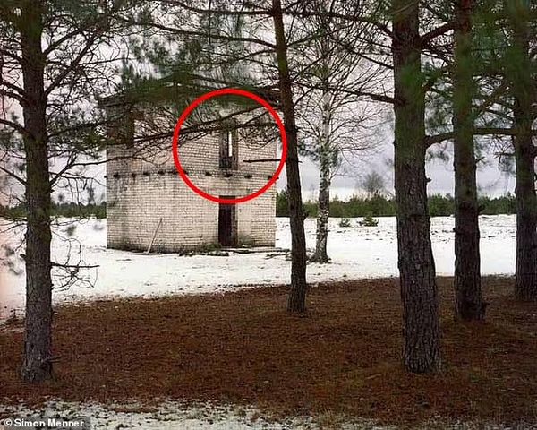 Can You Spot the Deadly Sniper in This Picture?