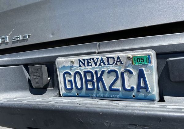 The Viral Nevada License Plate: A Surprising Internet Sensation