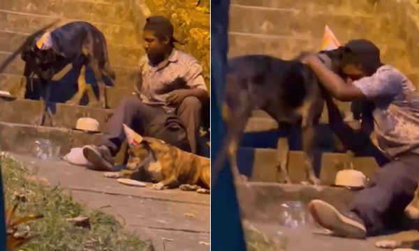 Homeless Man’s Love for His Dogs Goes Viral