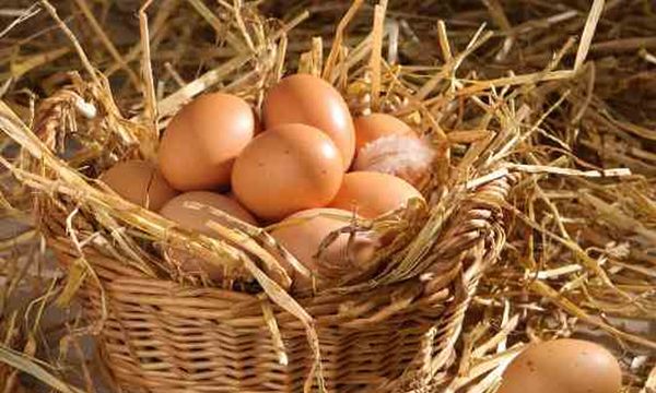 You’ve Been Storing Your Eggs Wrong For Years