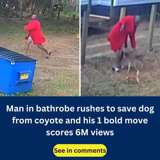 Man in Bathrobe Becomes Unexpected Hero, Saves Dog From Coyote!