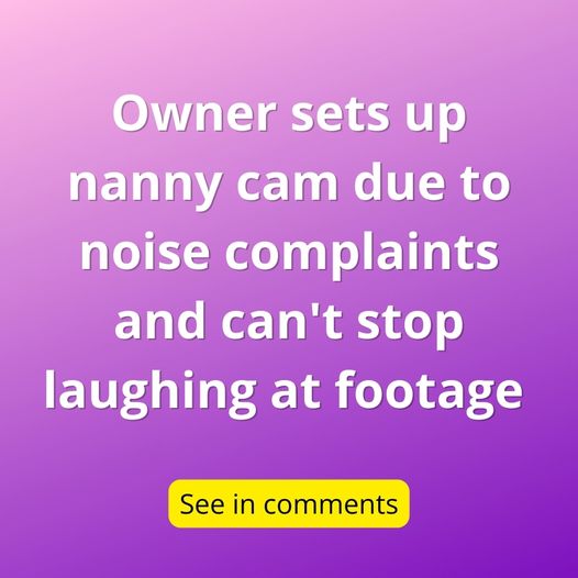 Why One Homeowner Couldn’t Stop Laughing After Noise Complaints