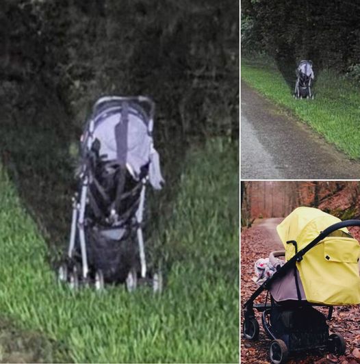 Why You Should Resist the Urge to Stop for That Abandoned Stroller on the Roadside