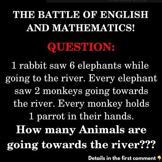 The Battle of English vs. Math: Exposing the Deceit in Simple Riddles