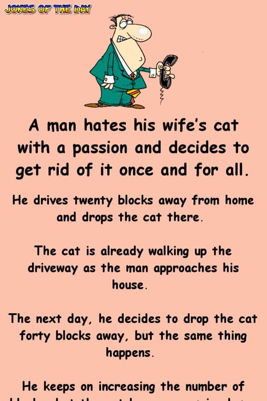 The Cat Who Outsmarted a Grumpy Man: A Feline Tale You Won’t Believe