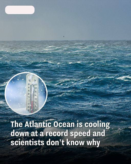 Why the Atlantic Ocean’s Bizarre Cooling Trend Should Have You Scratching Your Head