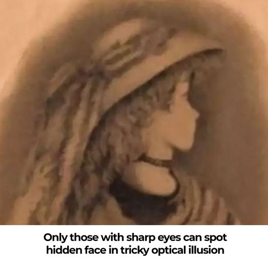 Can You Spot the Hidden Face in This Optical Illusion? Bet You Can’t!