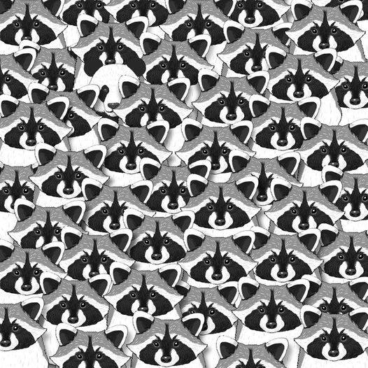 Are You Sure You’re Observant? Prove It by Finding the Hidden Panda!