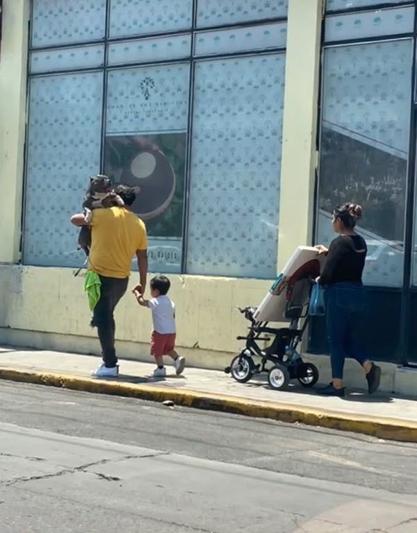 The man holding his son's hand while keeping the dog safe