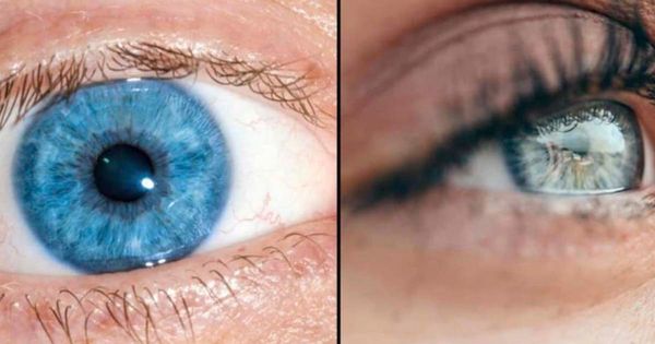 The Fascinating Origin of Blue Eyes