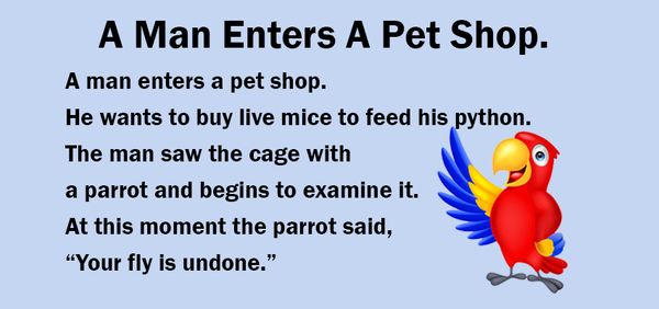 A Funny Incident at the Pet Shop