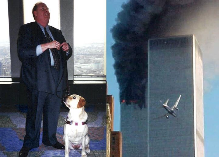 Unleashing Bravery: Hero Dogs of 9/11 You May Never Forget