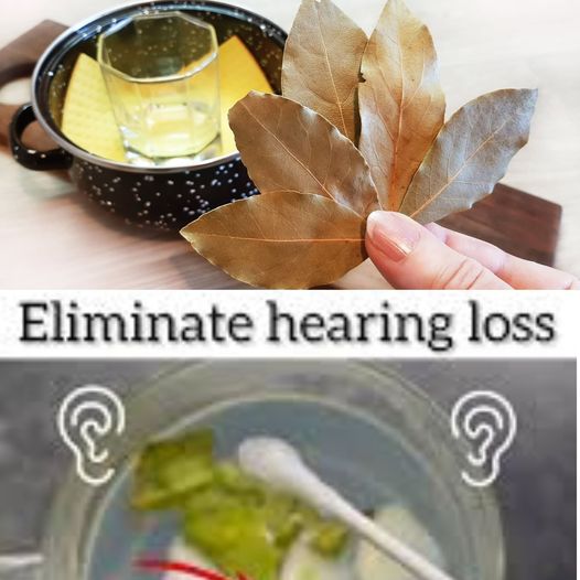 The Astonishing Secret Bay Leaf Hack: Say Goodbye to That Annoying Ear Ringing