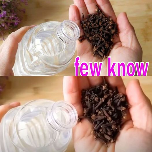 Transforming Your Home with Cloves and White Vinegar: A Natural Solution