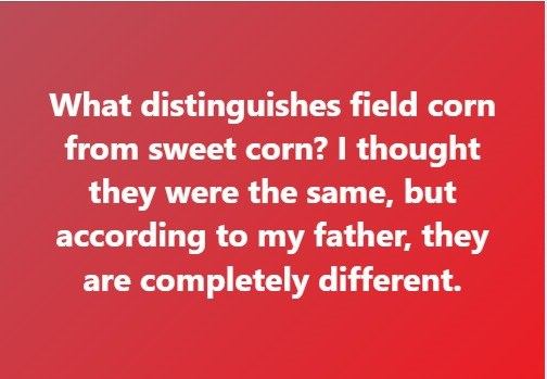 How Are Field Corn and Sweet Corn Different?