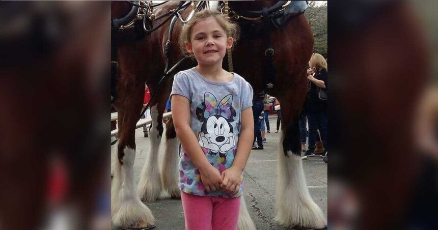 The Horse Who Stole the Spotlight: A Hilarious Photobomb Story