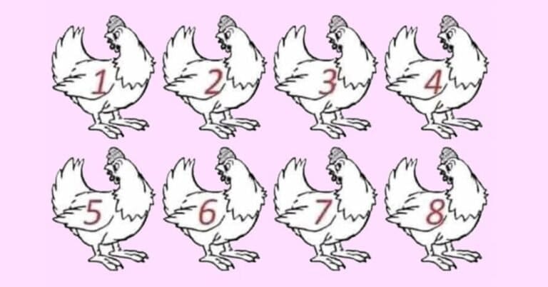 Test Your Genius: Can You Spot the Different Chicken in 30 Seconds?