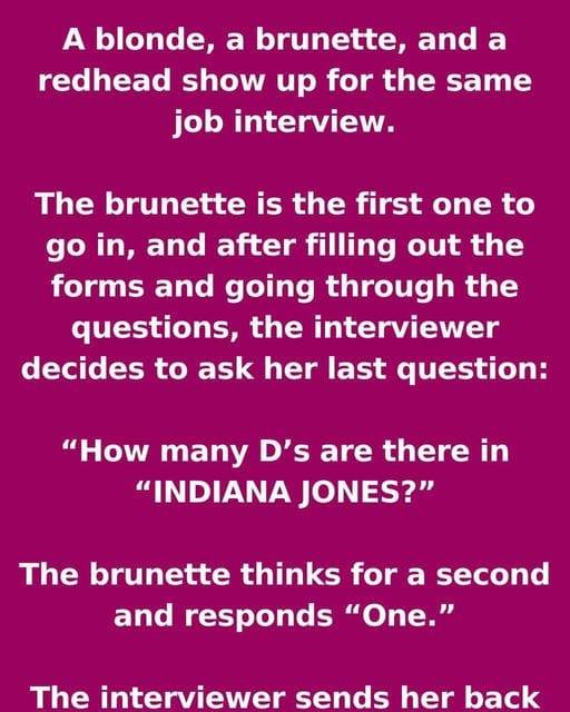 One Last Question: A Hilarious Job Interview Tale!