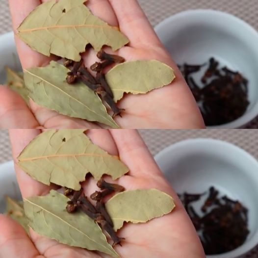 Say Goodbye to Joint Pain with This Sassy Bay Leaf & Clove Tea Recipe