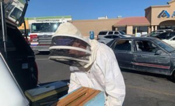 On-call firefighters removing bees from the car